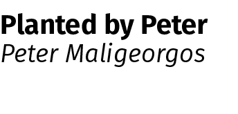 Planted by Peter Peter Maligeorgos