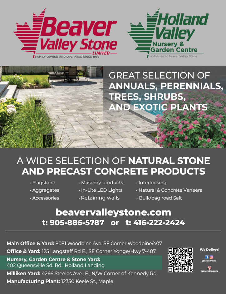 A flyer for Beaver Valley Stone features a wide selection of natural stone products. AI generated content