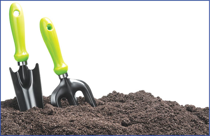garden tools in soil isolated on white background. The text is an example and can be easily removed